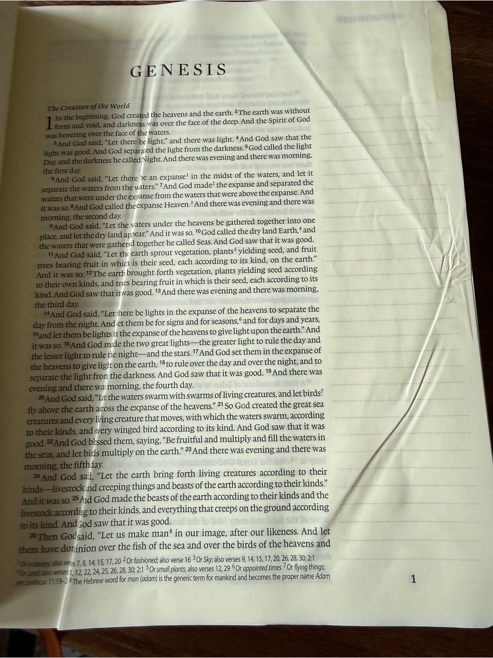 ESV Single Column Journaling Bible, Artist Series Joshua Noom the Lion - Picture 7 of 11